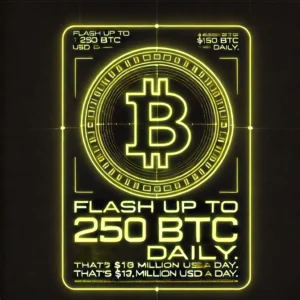 USDT Flashing Software